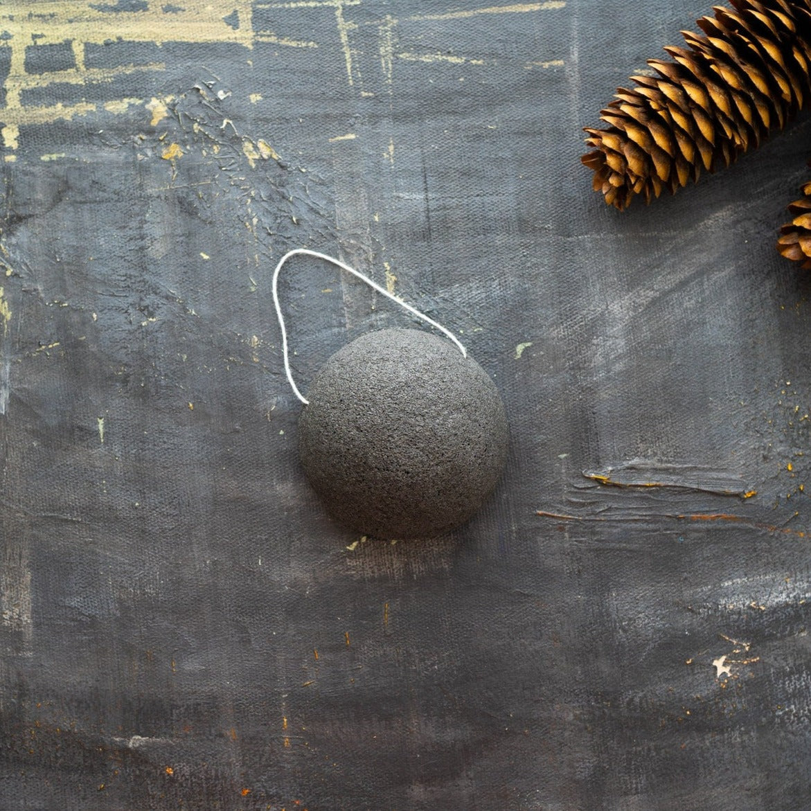 Plantish Future Konjac Facial Sponge - Charcoal