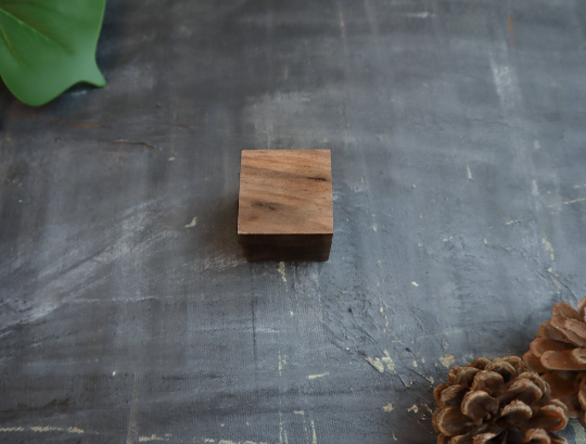 Plantish Future Home & Kitchen Wooden Essential Oil Diffuser for Home Walnutwood from Back Top View
